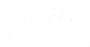 logo_vollido_transparent_background